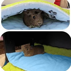 NEO SOLVO - Lot de 2 - tapis pour cochon d'inde et lapin en polaire 60 x 50 cm - polaire absorbant, lavable en machine, economique