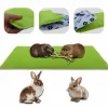 NEO SOLVO - Tapis pour cochon d'inde et lapin en polaire - 70 x 35 cm - polaire absorbant, lavable en machine, economique et ecologique