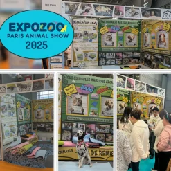 NEO SOLVO - Tapis qui remplace la litière pour cochon d'inde et lapin - absorbant, imperméable, passe en machine - 70 x 35 cm