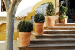 NEWGARDEN - Pot de fleurs gerbera ø50x59,5cm - couleur terracota