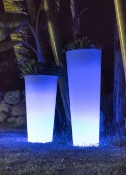 NEWGARDEN - Pot lumineux ficus 60 lumière blanche froide par câble ø29x59cm