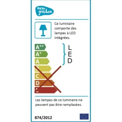 NEWGARDEN - Pot lumineux melisa 50 solaire+batterie rechargeable led rgb avec télécommande 50x50x110cm