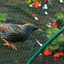 NORTENE - Filet classique protection - 10 m x 2 m