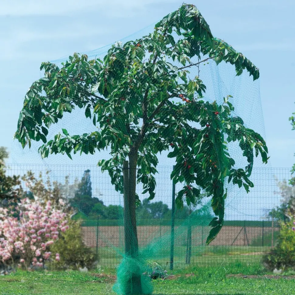 NORTENE - Filet classique protection - 10 m x 2 m