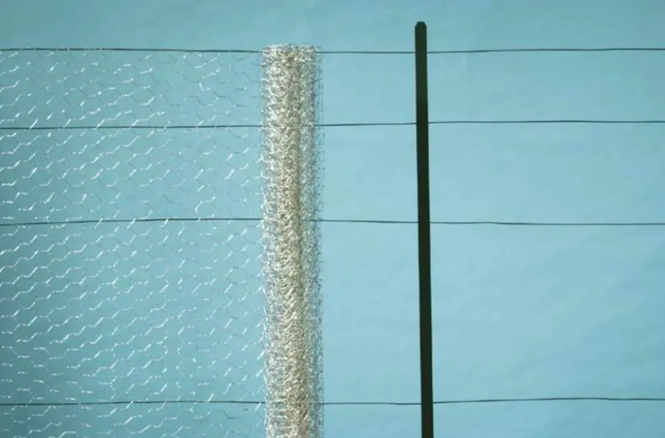 NORTENE - Grillage métal galva triple torsion 2,5cm - 0,5 x 50 m