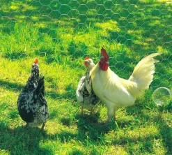 NORTENE - Grillage métallique triple torsion "galvanex 25" - 1 x 10 m/25 x 0,8 mm