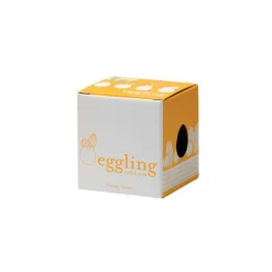 NOTED - Kit oeuf cactus prêt à pousser