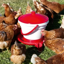 NOVITAL - Abreuvoir 12 litres sur pieds pour poules et volailles • abreuvoir seau en plastique