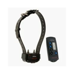 NUM'AXES - Ensemble dressage a distance canicom 200