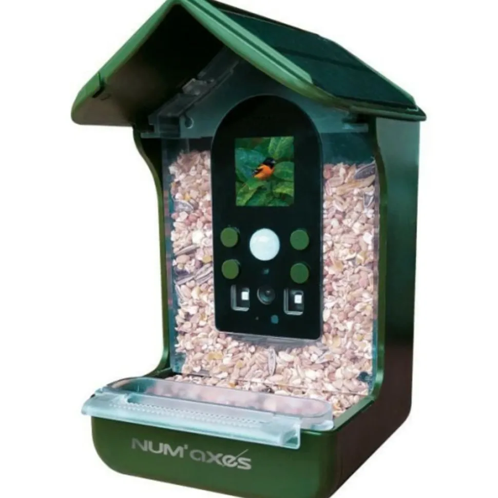 NUM'AXES - Mangeoire / abreuvoir pour oiseaux avec caméra intégrée - - cam1074 - 120 ° - vert