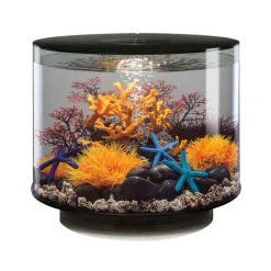 Oase aquarium décoratif 35l led noir - tube 35 led black