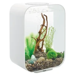 Oase aquarium décoratif 15l avec cadre blanc - life 15 mcr white
