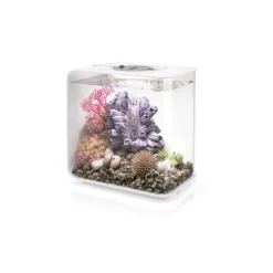 Oase aquarium 15l led blanc - flow 15 mcr white