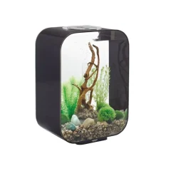 Oase aquarium 15l led noir - life 15 led black