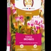 OR BRUN - Obrtorc6u -terreau orchidées - 6l -favorise la croissance