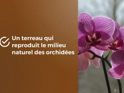 OR BRUN - Obrtorc6u -terreau orchidées - 6l -favorise la croissance