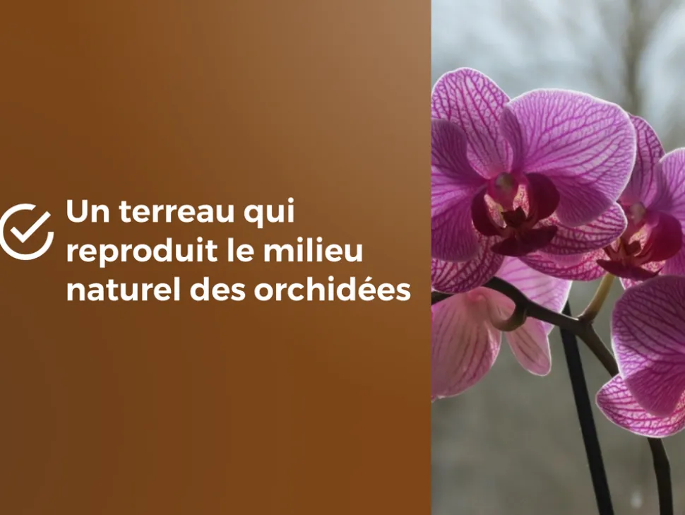 OR BRUN - Obrtorc6u -terreau orchidées - 6l -favorise la croissance