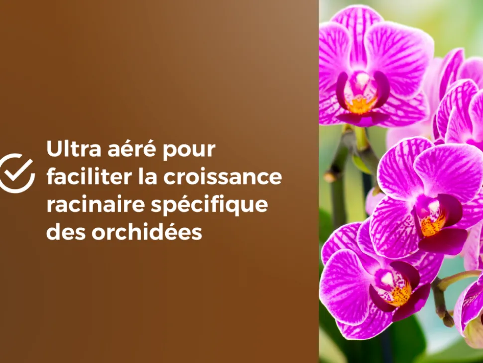 OR BRUN - Obrtorc6u -terreau orchidées - 6l -favorise la croissance