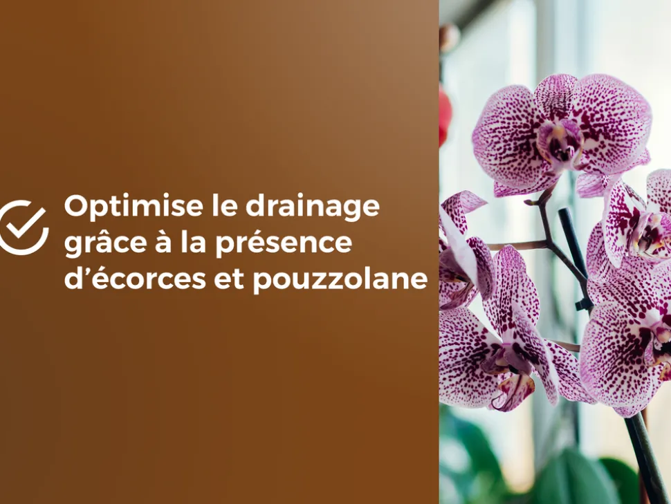 OR BRUN - Obrtorc6u -terreau orchidées - 6l -favorise la croissance