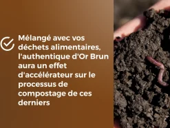 OR BRUN - Or brun obraaut10 authentique fertilisant - fertilisant essentiel pour le sol - 10kg - 20m² - fumiers & algues