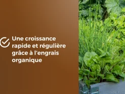 OR BRUN - Or brun obrtaro6u -terreau potager & plantes aromatiques - 6l - croissance rapide