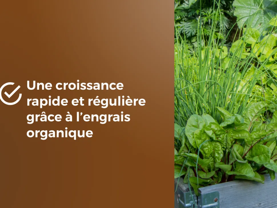 OR BRUN - Or brun obrtaro6u -terreau potager & plantes aromatiques - 6l - croissance rapide