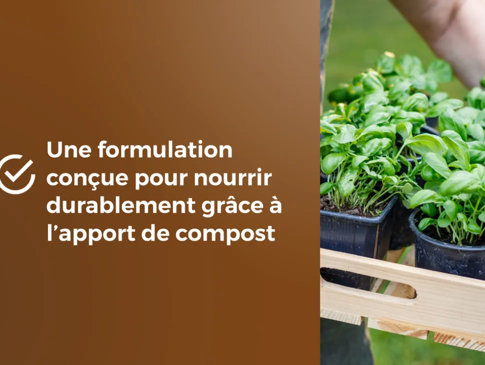 OR BRUN - Or brun obrtaro6u -terreau potager & plantes aromatiques - 6l - croissance rapide