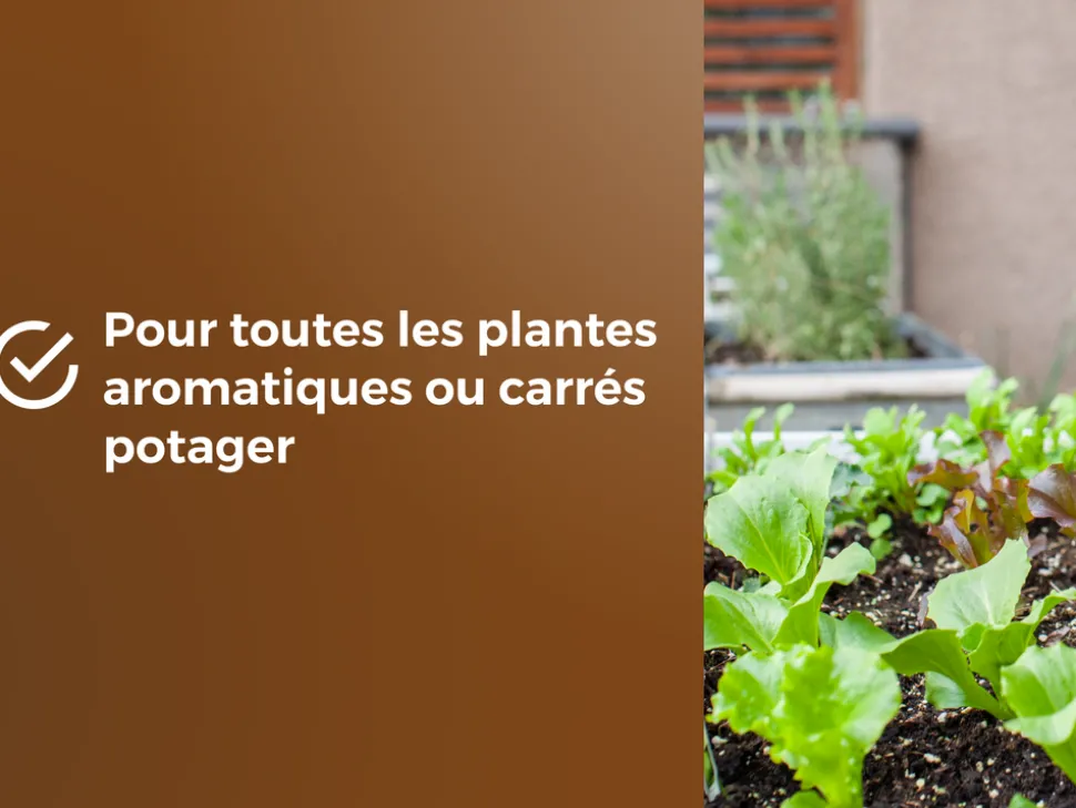 OR BRUN - Or brun obrtaro6u -terreau potager & plantes aromatiques - 6l - croissance rapide
