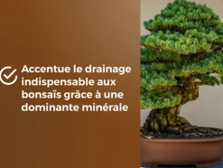 OR BRUN - Or brun obrtbon6u - terreau bonsaïs - 6l - meilleur enracinement