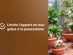 OR BRUN - Or brun obrtbon6u - terreau bonsaïs - 6l - meilleur enracinement