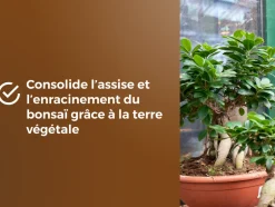 OR BRUN - Or brun obrtbon6u - terreau bonsaïs - 6l - meilleur enracinement