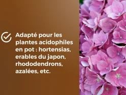 OR BRUN - Or brun obrtbru6u - terreau spécial plantes de bruyère - 6l - meilleur enracinement