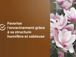 OR BRUN - Or brun obrtbru6u - terreau spécial plantes de bruyère - 6l - meilleur enracinement