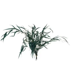 PARIS PRIX - Bouquet d'eucalyptus "sauvage séché" 75cm vert