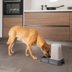 PARIS PRIX - Distributeur d'eau & croquettes 