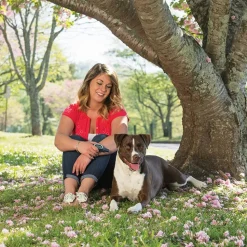 PETSAFE - Collier de dressage à distance pour chiens 900 m pdt19-16125