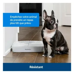 PETSAFE - Distributeur automatique - petsafe - 2 repas