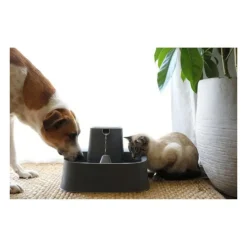 PETSAFE - Fontaine plastique 7.5l - sans bpa