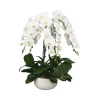 Phalaenopsis blanc 6 tiges XL : en coupe de D.34cm/H.85cm