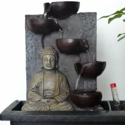 PLANT IN A BOX - Bonsaï - bonsai - hauteur 25-35cm - ⌀29cm