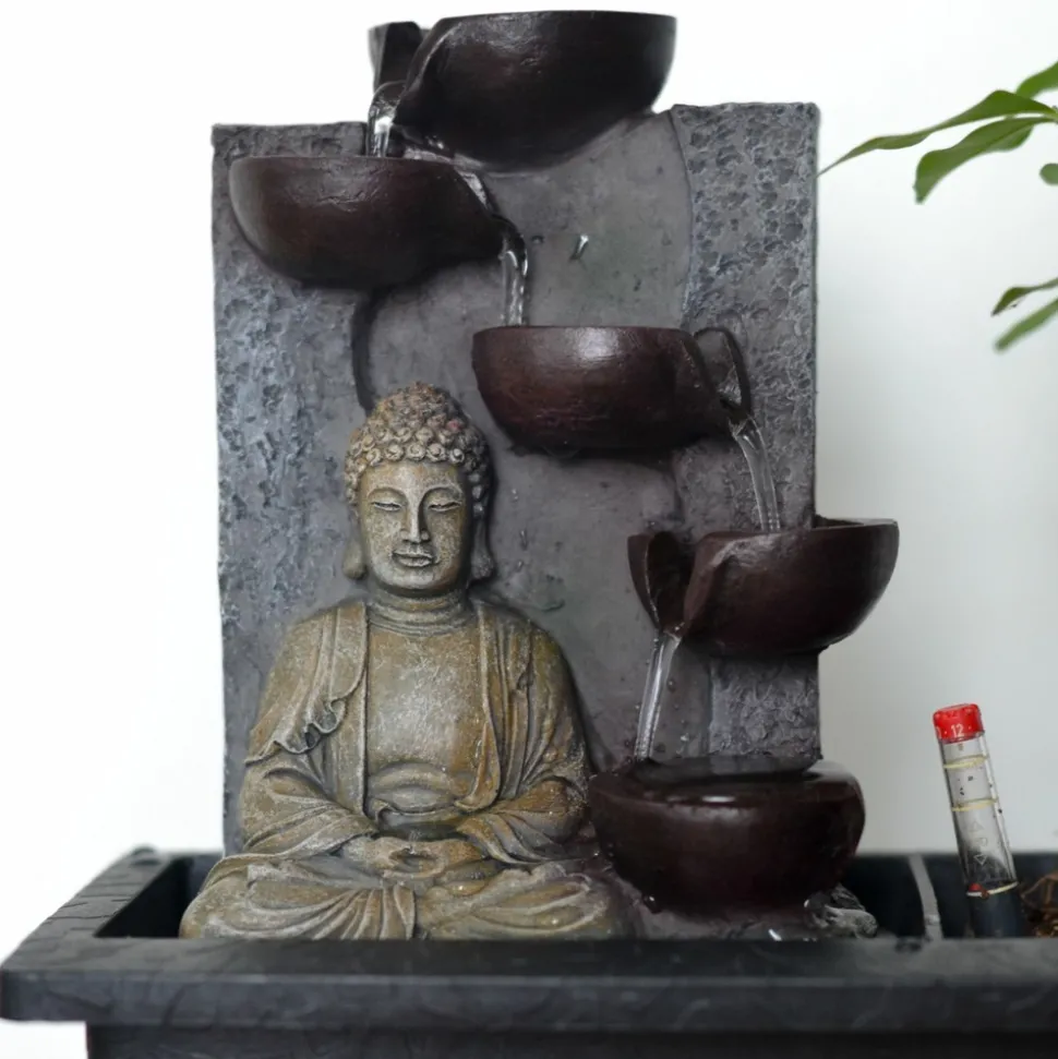 PLANT IN A BOX - Bonsaï - bonsai - hauteur 25-35cm - ⌀29cm