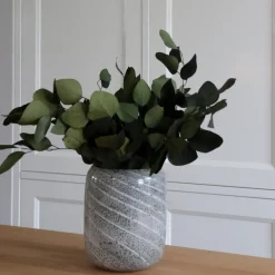 PLANT IN A BOX - Bouquet de fleurs sèches - eucalyptus stuartiana