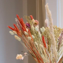 PLANT IN A BOX - Fleurs séchées - bouquet 'trendy hippy'