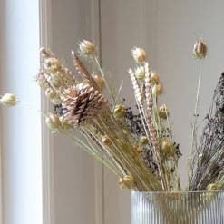 PLANT IN A BOX - Fleurs séchées - bouquet 'loose fit drummer'