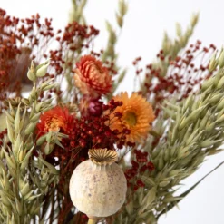 PLANT IN A BOX - Fleurs séchées - bouquet 'loose fit marrakesh'