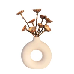 PLANT IN A BOX - Fleurs séchées - set de 10 - bouquet 'protea compacta'