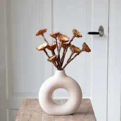 PLANT IN A BOX - Fleurs séchées - set de 10 - bouquet 'protea compacta'