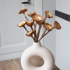 PLANT IN A BOX - Fleurs séchées - set de 10 - bouquet 'protea compacta'