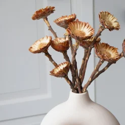 PLANT IN A BOX - Fleurs séchées - set de 10 - bouquet 'protea compacta'