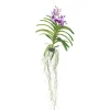 PLANT IN A BOX - Orchidée - vanda 'lila' - hauteur 55-65cm